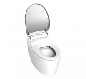 Smart toilet mould