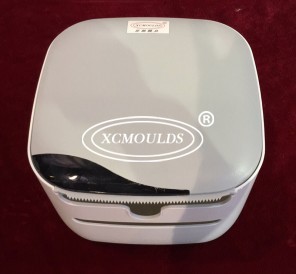 Trash can mould