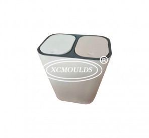 Trash Can Mould