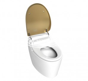 Smart toilet mould