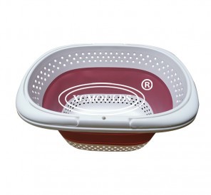Bathtub mould