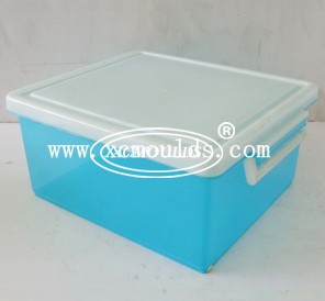 Transparent box mould