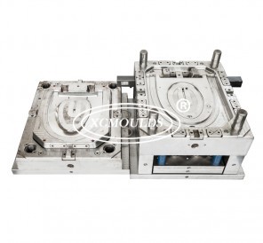 Other mold