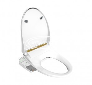 Smart toilet mould