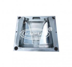 Auto lamp mould