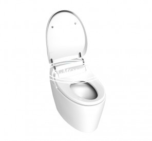 Smart toilet mould